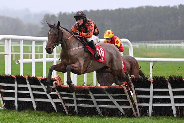 Falcon Park jumps the last under Niall Prendergast