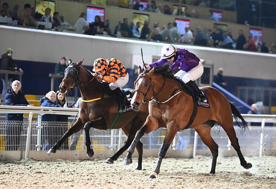 Persian Bliss (nearside) and Wayne Lordan 