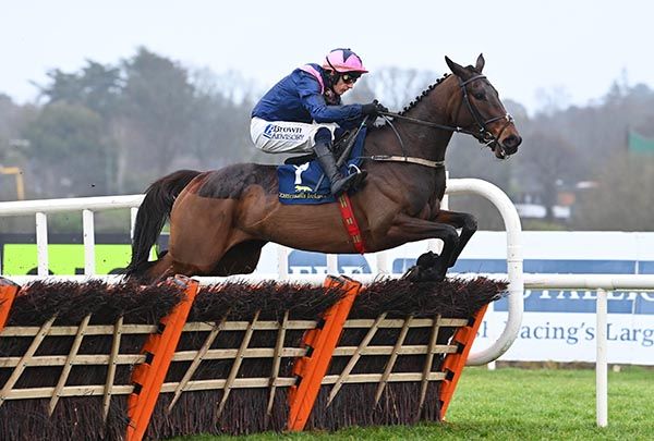 Kopek Des Bordes and Paul Townend win the Tattersalls Ireland Novice Hurdle 