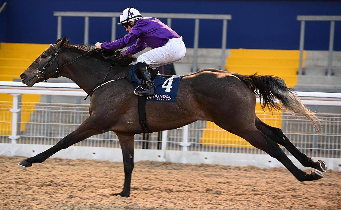 Valiant Force and Wayne Lordan