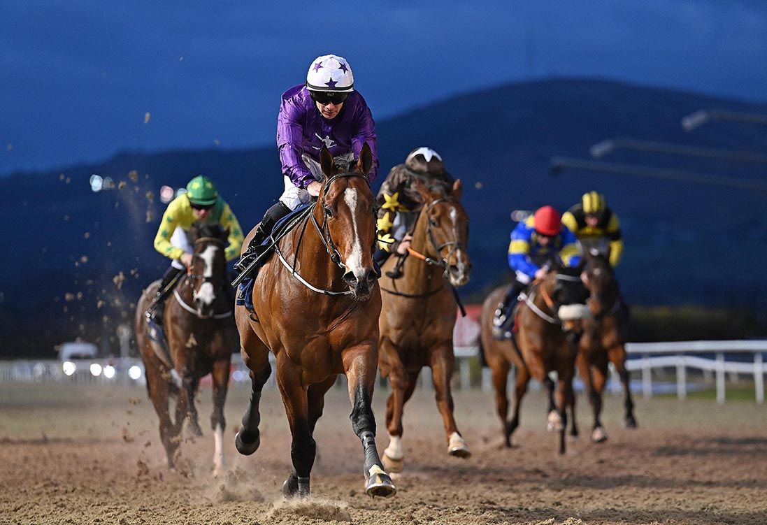 Persian Bliss leads home his rivals under Wayne Lordan