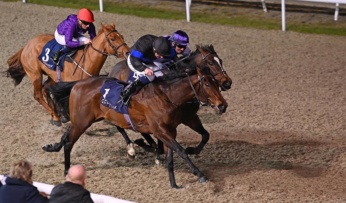 Cee En Gee (nearest) gets to the front close home under Declan McDonogh