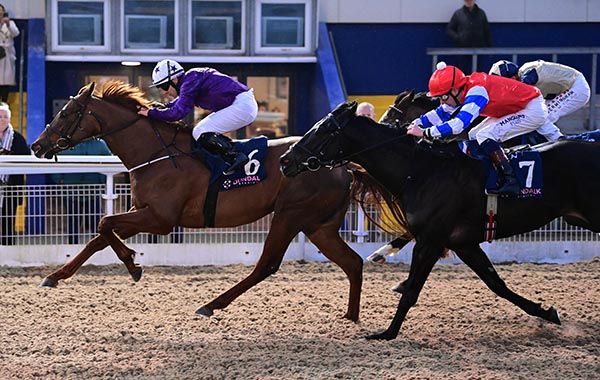 Tiberius Thunder and Wayne Lordan