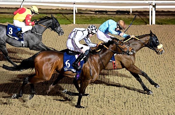 Notforalongtime and Robert Colgan (far side) leads Mullacash Buzz 